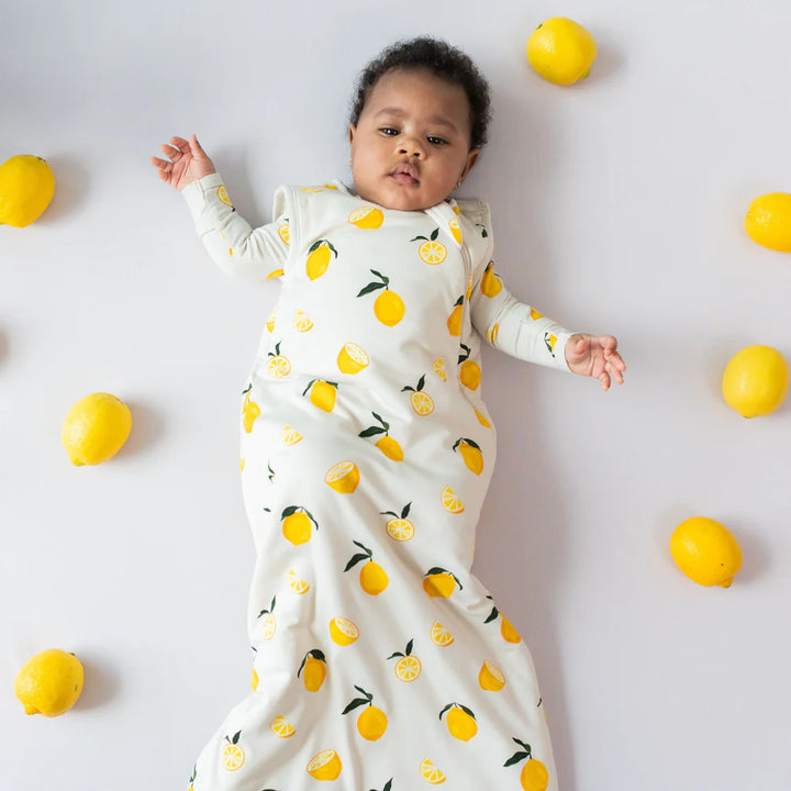 Kyte discount baby sleep sack